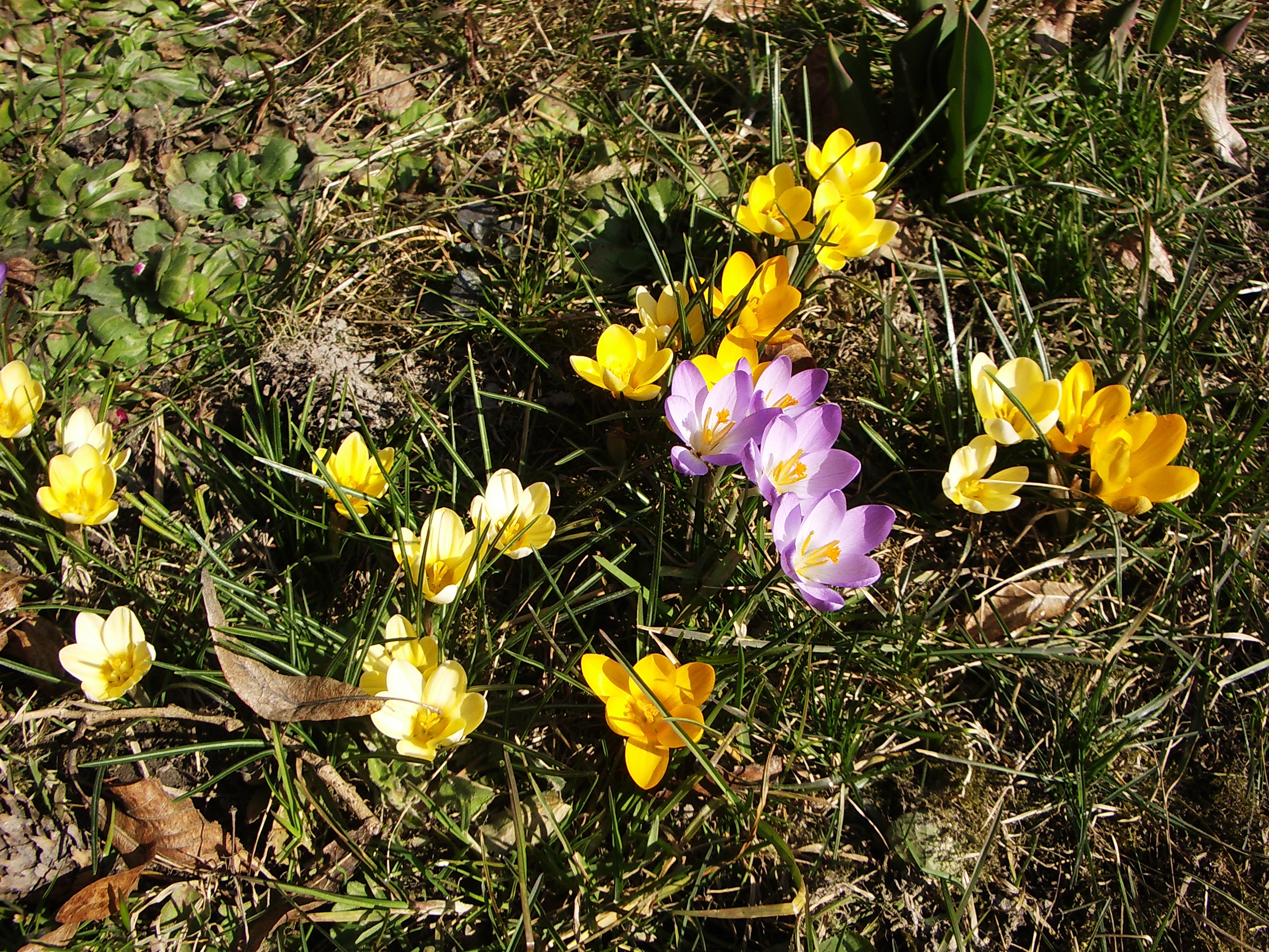 Tavasz | Eumet.hu – Időjárás-előrejelzés